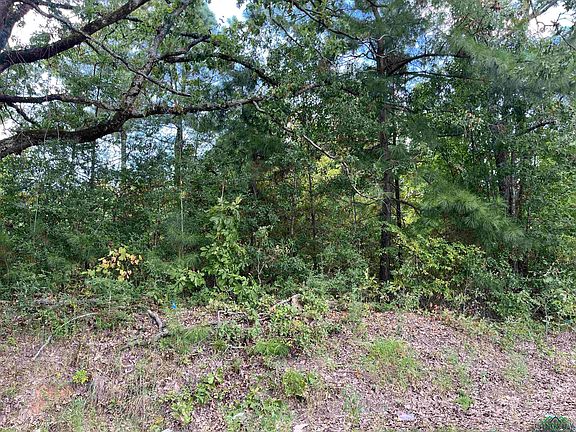 3rd image of County Road 2132 N