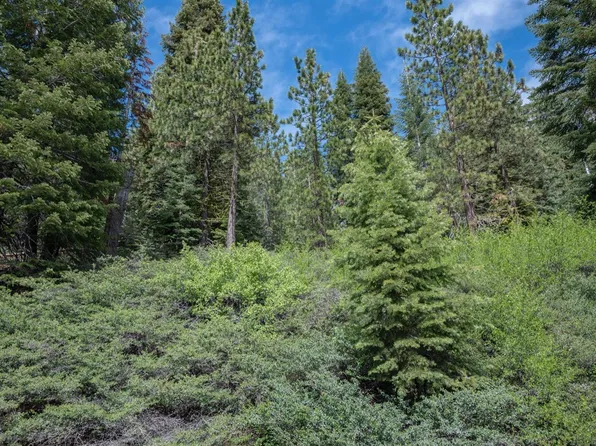 51 Liberty Rd, Arnold, CA 95223