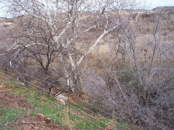 2nd image of 7153 E Vineyard View Dr