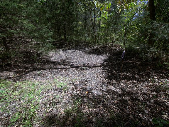 5th image of Tract 2&3 Simpson Rd