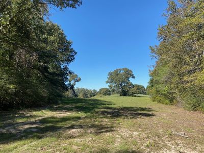 10 County Road 242, Oakwood, TX, 75855