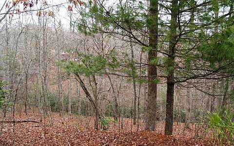 1st image of 5 Fightingtown Creek Rd