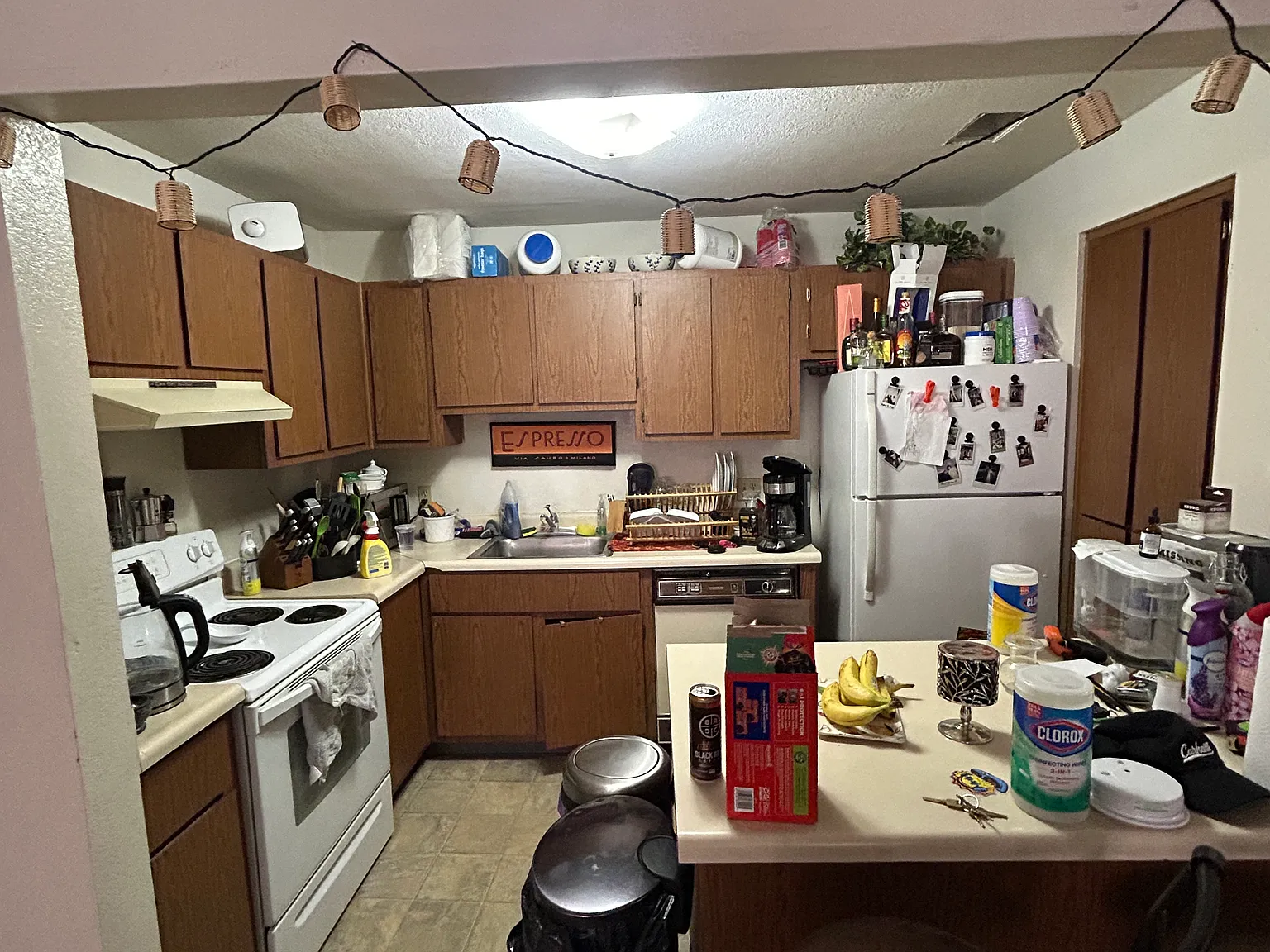 1 bed, 520 sqft, $1,325 — Photo 4
