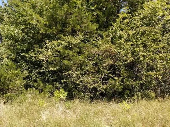 Lots 634 & 635 Shoshone Dr, Gordonville, TX 76245
