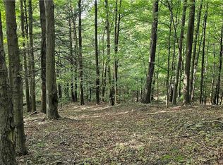 0 Ringwood Rd, Freeville, NY 13068