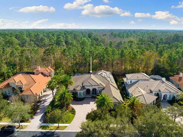 2611 Hawks Landing Blvd, Palm Harbor, FL 34685