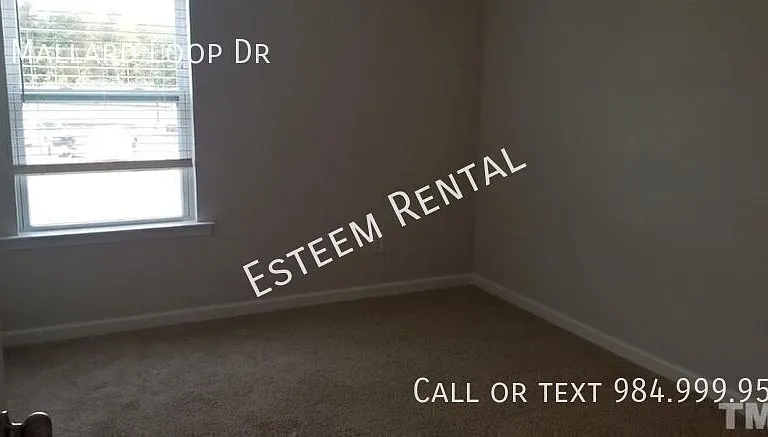 69 Mallard Loop Dr — Photo 11