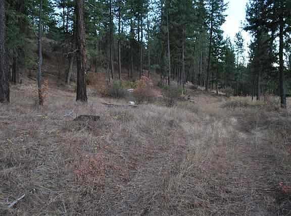 Exterior Neighborhood (street photo)