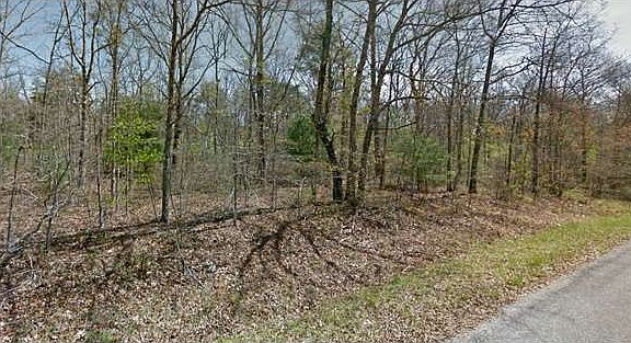 2nd image of 7005 Ute Ln