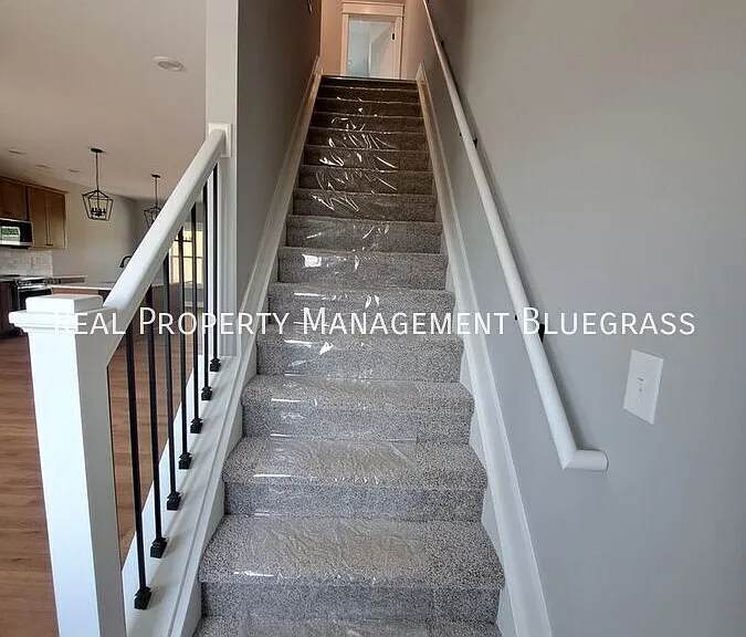 2507 Spring Leaf Ct — Photo 13
