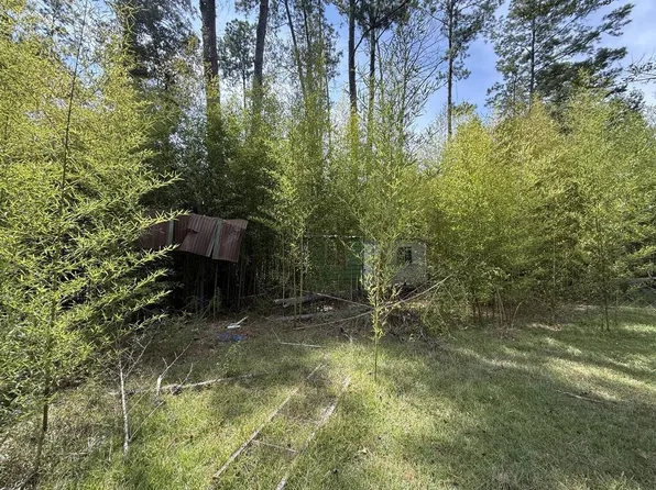1165 County Road 2132, Burkeville, TX 75932