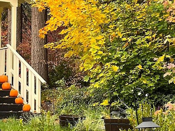 Fall