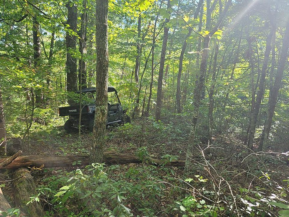1st image of Chinquapin Dr