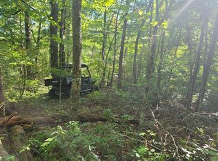 37A Chinquapin Dr, Sevierville, TN 37876