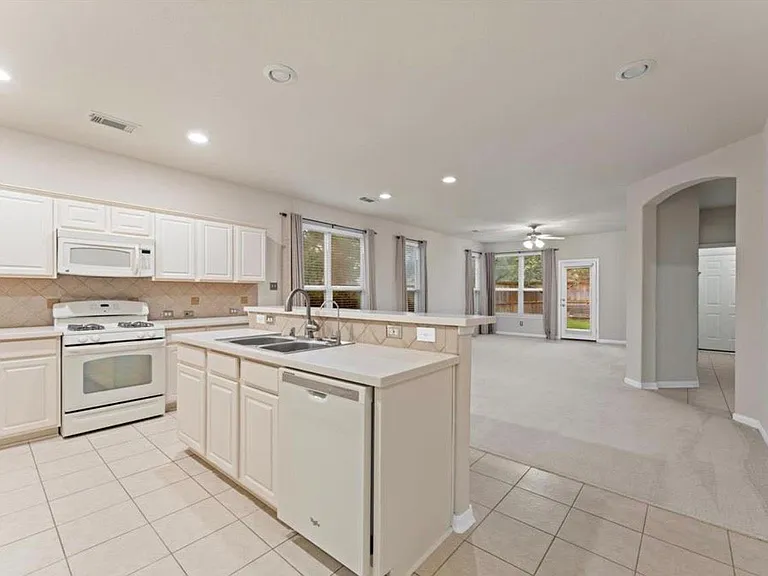 17203 Mitchell Pass Ln — Photo 7