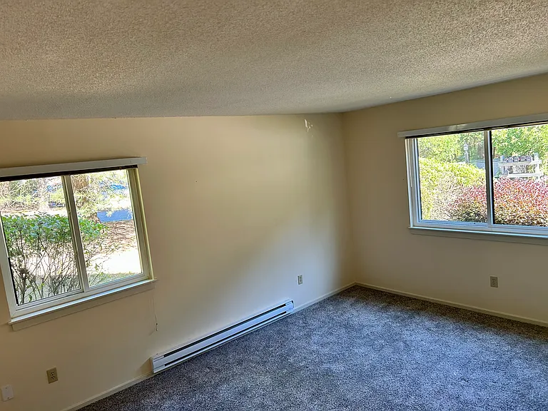 Bedroom with new carpet and walk-in closet.