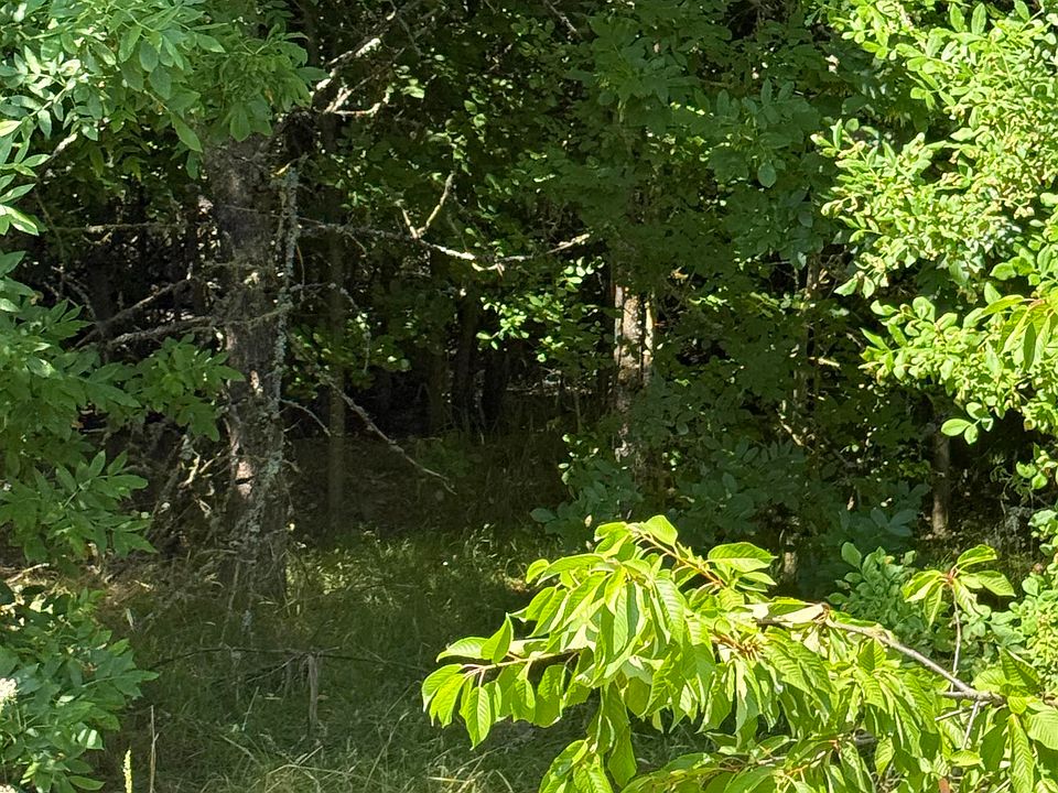 2nd image of 0 Next To Grand Pr