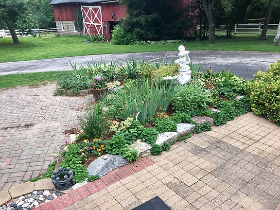 Patio Area