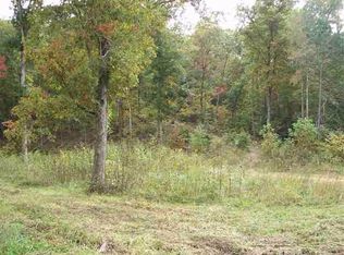 447 Mans Hollow Rd, Kingston, TN 37763