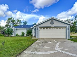 16021 Scaup Duck Ave, Weeki Wachee, FL 34614
