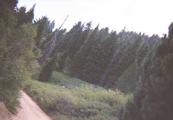 5th image of 74 Coy Flat Drive #74