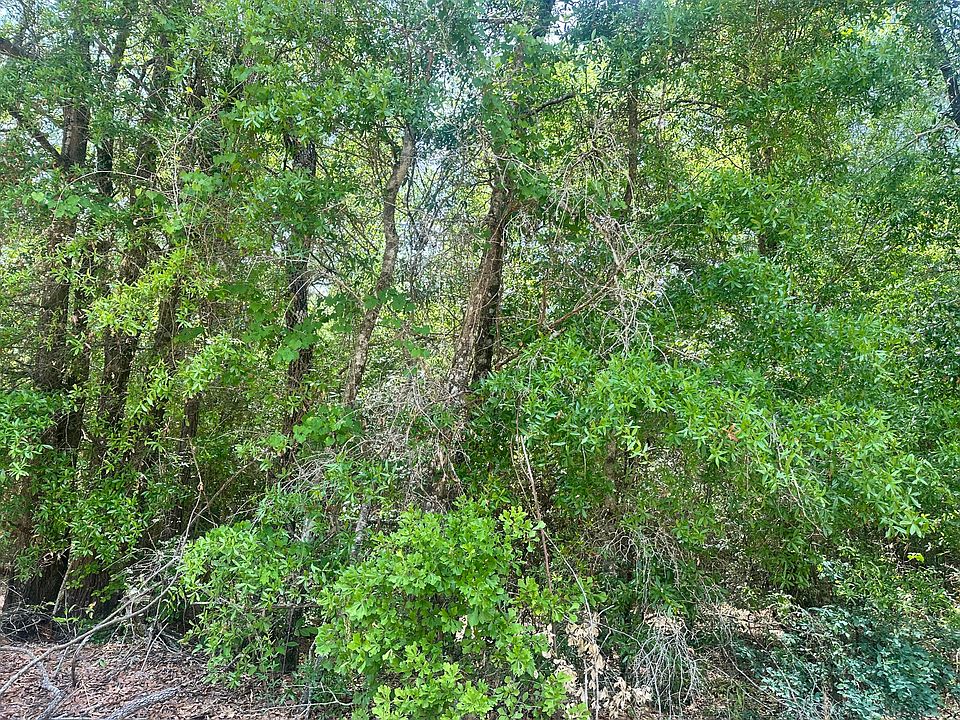 2nd image of 11 Warbonnet Rd