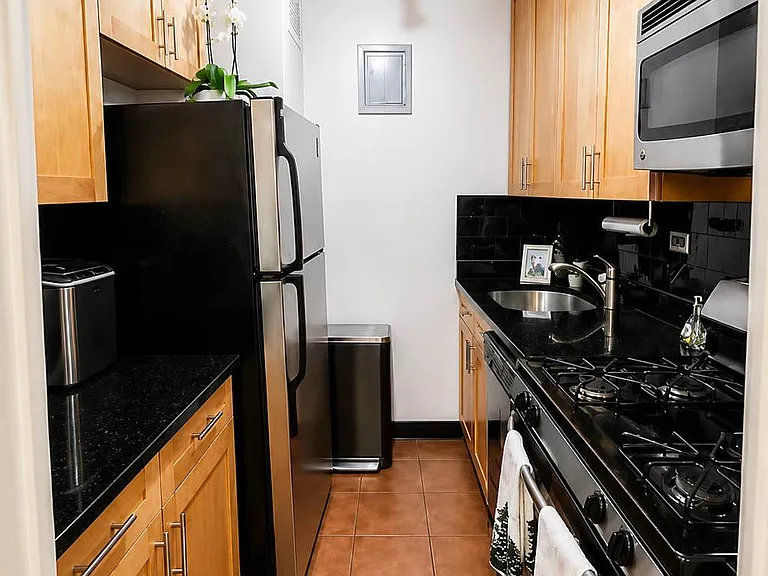 245 E 19th St #11-M — Photo 2