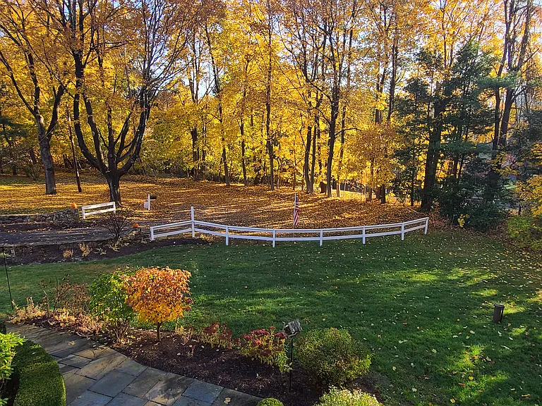 Spring - Front Yard