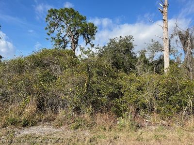 152 Marshall Ave, Lake Placid, FL, 33852