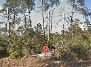 13023 Partridge St, Spring Hill, FL 34608