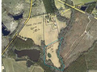 1 Alton Lawson Rd, Adrian, GA 31002