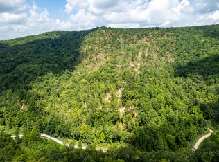 Snake Hollow Rd, Sneedville, TN 37869
