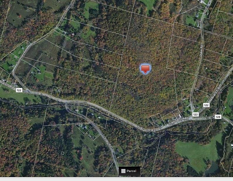 185 N Branch Callicoon Center Rd, North Branch, NY 12766 Zillow