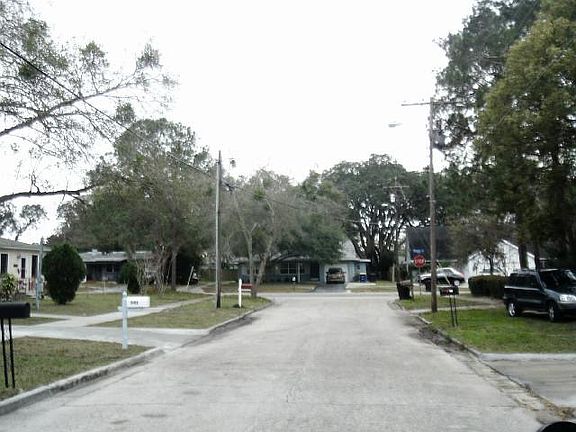5th image of 538 Plumosa Ave