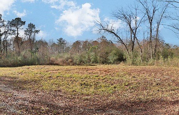 5th image of 13145 State Highway 315