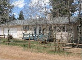 55 Illini Dr, Woodland Park, CO 80863