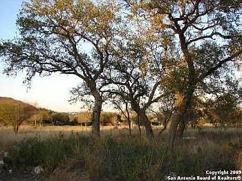 2nd image of 19210 Preserve Oak