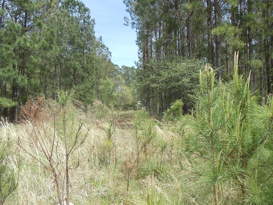 2nd image of Tbd Thomas Holland Road