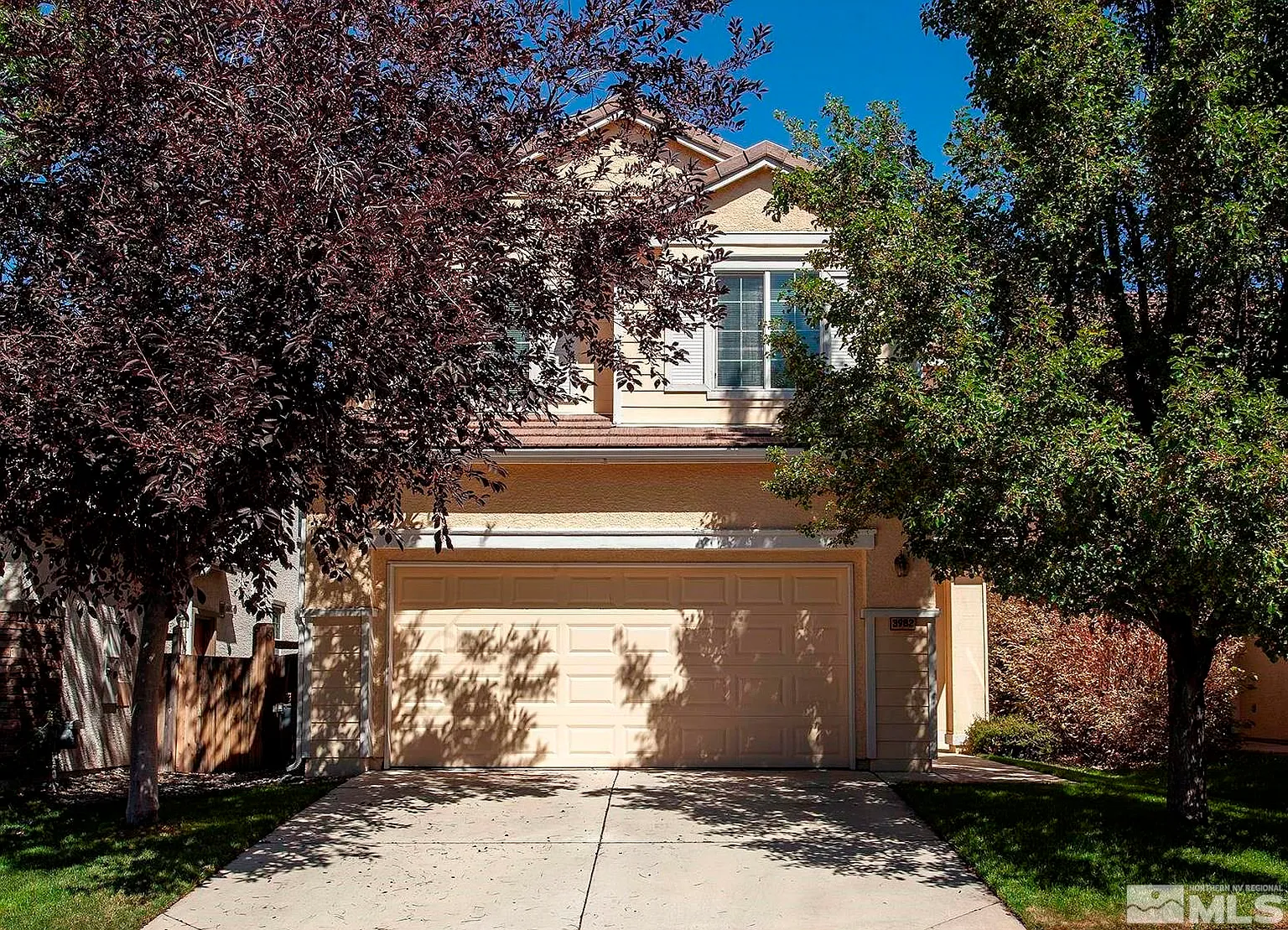 3982 Dominus Dr photo 1