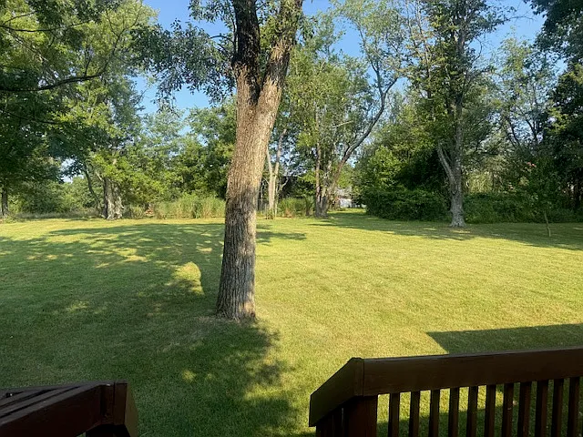 118 Judith Dr — Photo 20