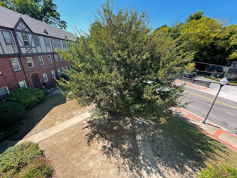 917 Oxmoor Rd #201 — Photo 11