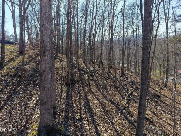 Tbd Grove Park Dr, Bristol, TN 37620