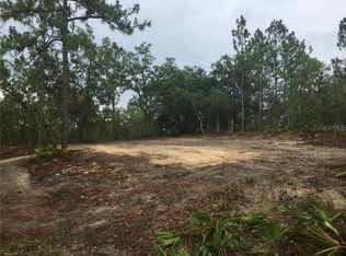 33412 Solway Dr, Webster, FL 33597