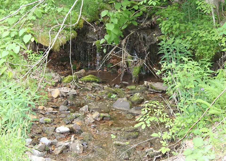 1st image of 1825 E Fork Ln