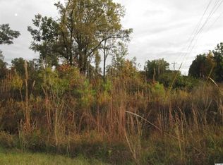 3317 Bigelow Dr, Andrews, SC 29510