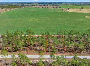 Lots 25 26 Nw Buena Vista Rd #26, Dunnellon, FL 34431
