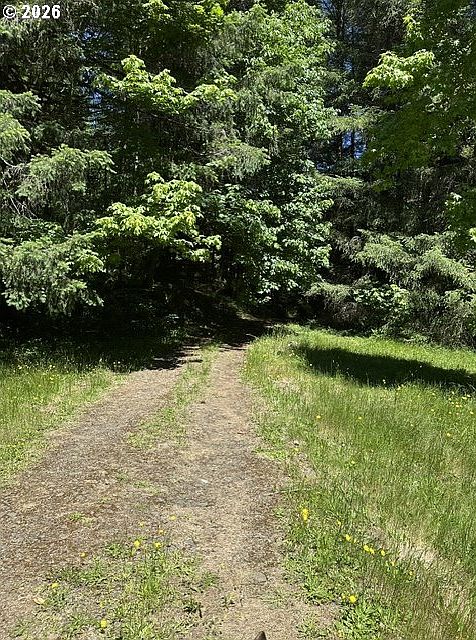 1st image of 89366 Nelson Mountain Rd