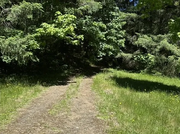 89366 Nelson Mountain Rd, Walton, OR 97490