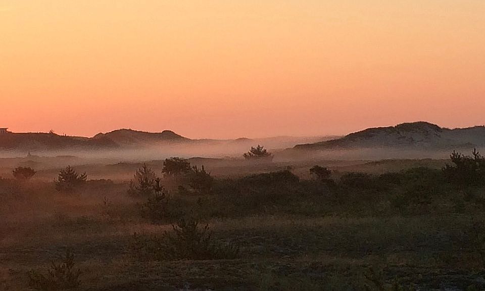 Park deck view - sunrise fog
