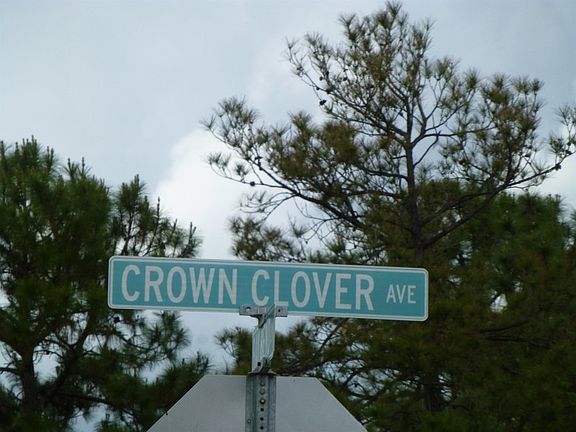 5th image of 418 Crownclover Ave